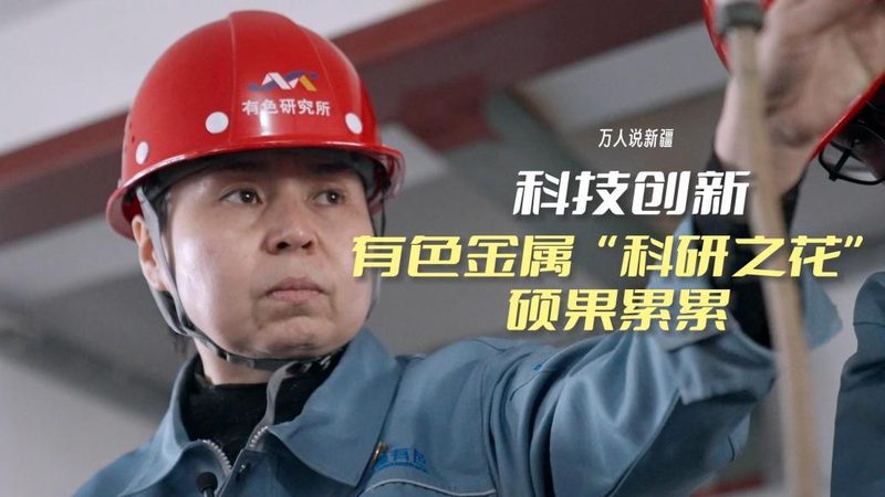 物流与供应链管理的核心差异与技术实现